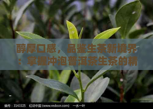 醇厚口感，品鉴生茶新境界：掌握冲泡普洱茶生茶的精确步骤