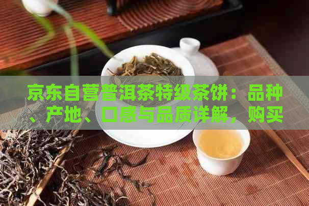 京东自营普洱茶特级茶饼：品种、产地、口感与品质详解，购买指南一应俱全