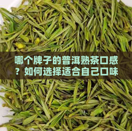 哪个牌子的普洱熟茶口感？如何选择适合自己口味的口粮茶？