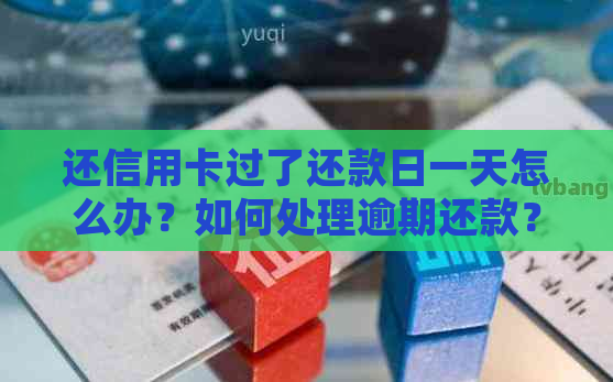 还信用卡过了还款日一天怎么办？如何处理逾期还款？