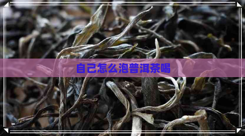 自己怎么泡普洱茶喝