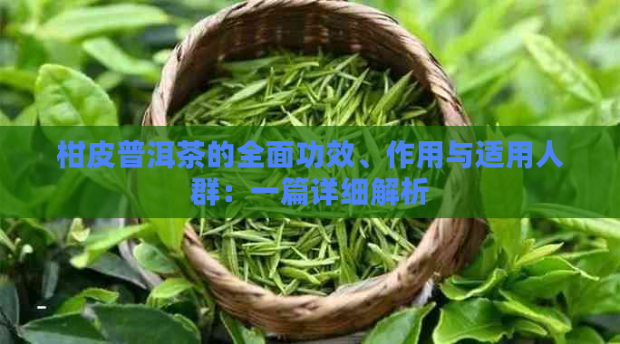 柑皮普洱茶的全面功效、作用与适用人群：一篇详细解析