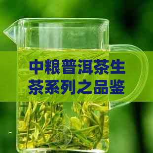 中粮普洱茶生茶系列之品鉴：多款精选茶叶对比解析