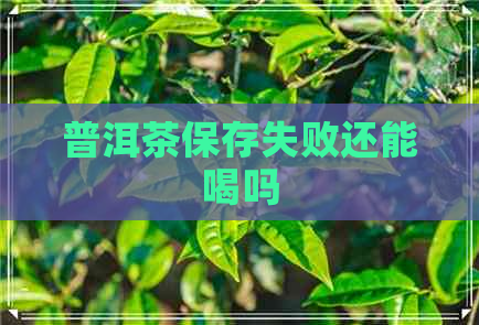 普洱茶保存失败还能喝吗