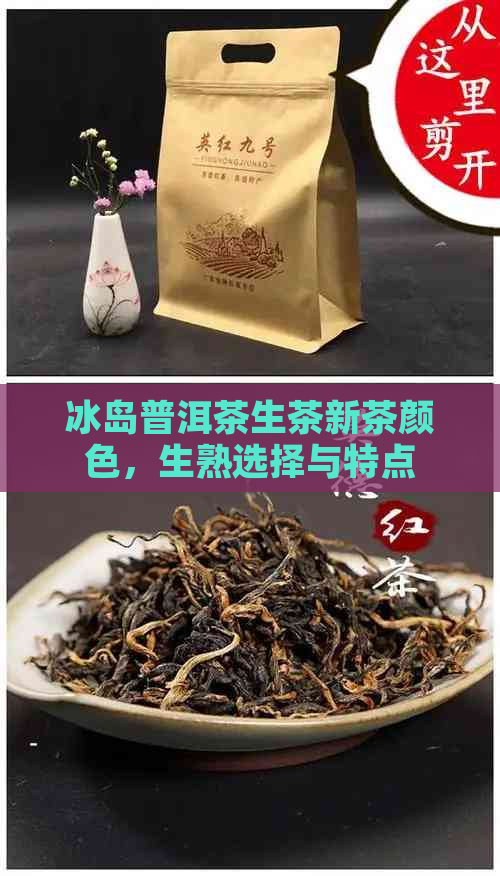 冰岛普洱茶生茶新茶颜色，生熟选择与特点