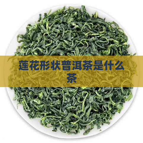 莲花形状普洱茶是什么茶