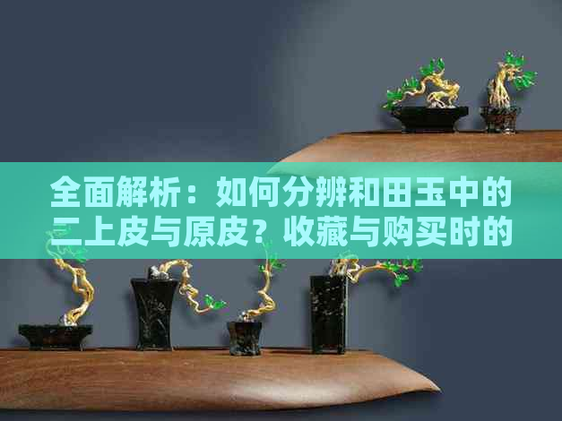 全面解析：如何分辨和田玉中的二上皮与原皮？收藏与购买时的注意事项