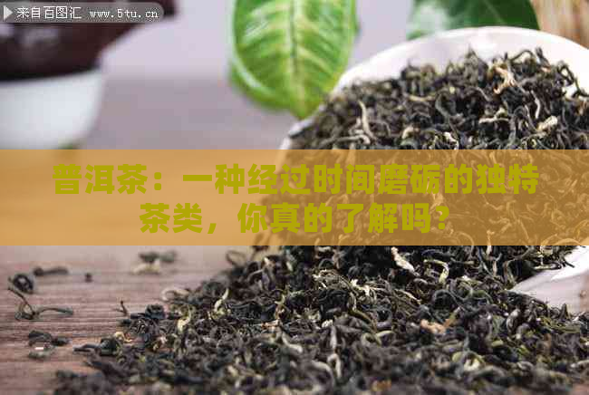 普洱茶：一种经过时间磨砺的独特茶类，你真的了解吗？