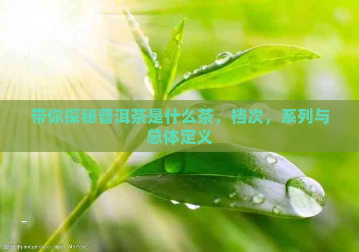 带你探秘普洱茶是什么茶，档次，系列与总体定义