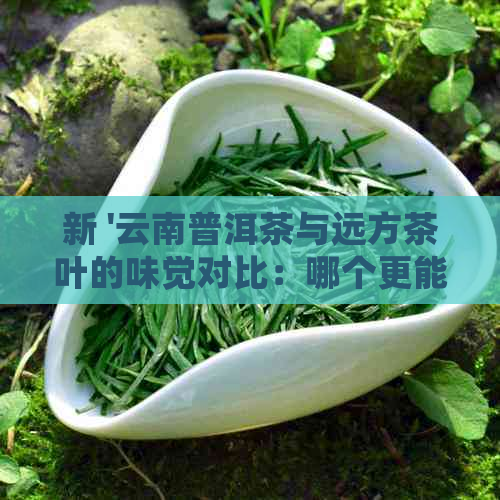 新 '云南普洱茶与远方茶叶的味觉对比：哪个更能满足你的口感？'