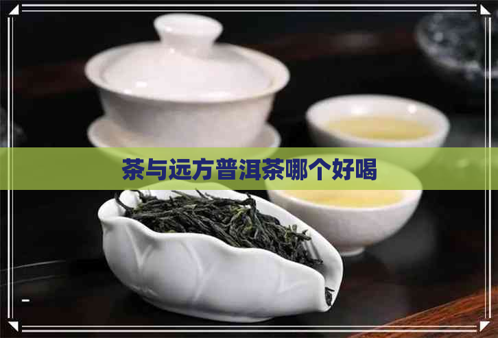 茶与远方普洱茶哪个好喝