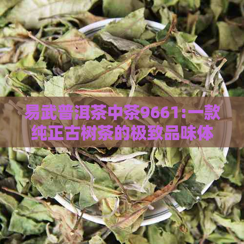 易武普洱茶中茶9661:一款纯正古树茶的极致品味体验