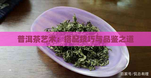 普洱茶艺术：搭配技巧与品鉴之道