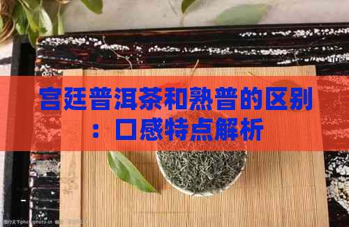 宫廷普洱茶和熟普的区别：口感特点解析