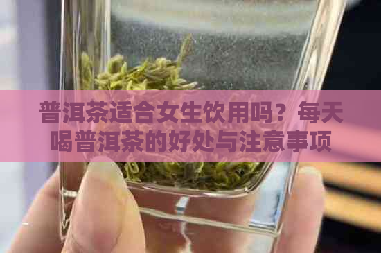 普洱茶适合女生饮用吗？每天喝普洱茶的好处与注意事项