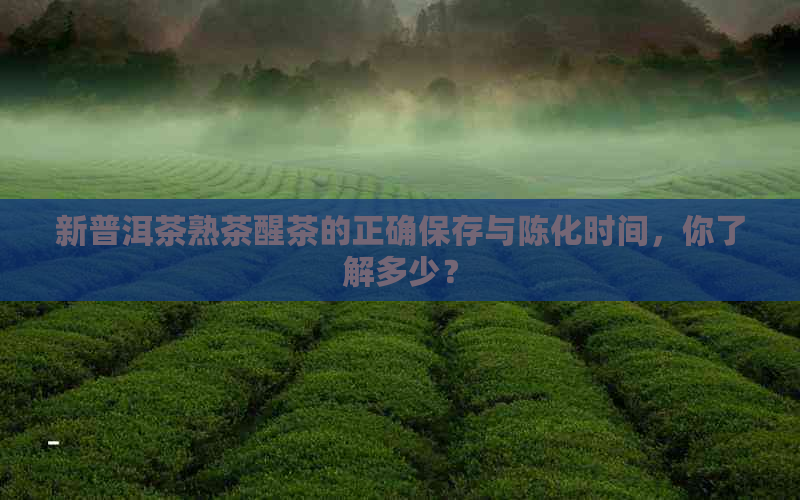 新普洱茶熟茶醒茶的正确保存与陈化时间，你了解多少？