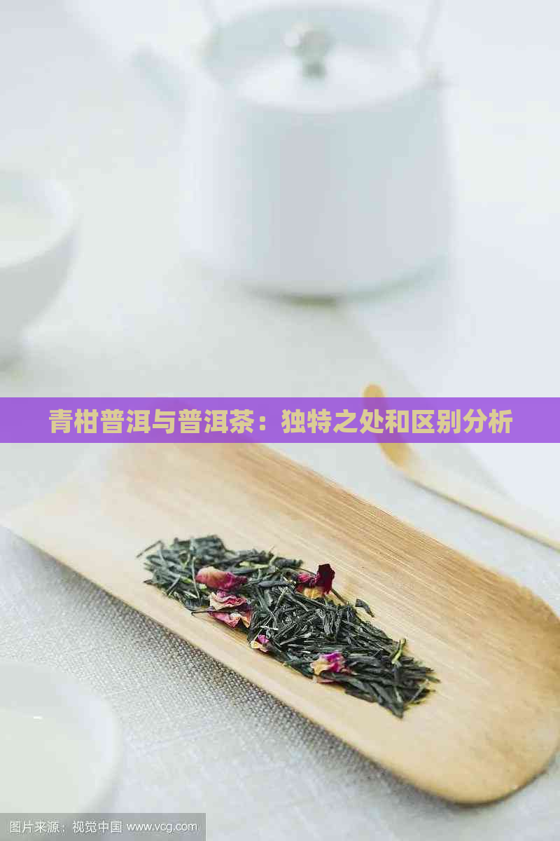 青柑普洱与普洱茶：独特之处和区别分析