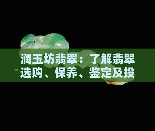 润玉坊翡翠：了解翡翠选购、保养、鉴定及投资全攻略