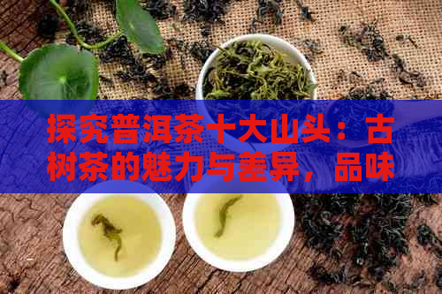 探究普洱茶十大山头：古树茶的魅力与差异，品味云南大叶种的独特风味