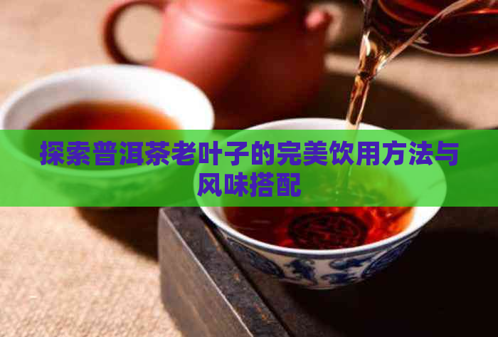 探索普洱茶老叶子的完美饮用方法与风味搭配