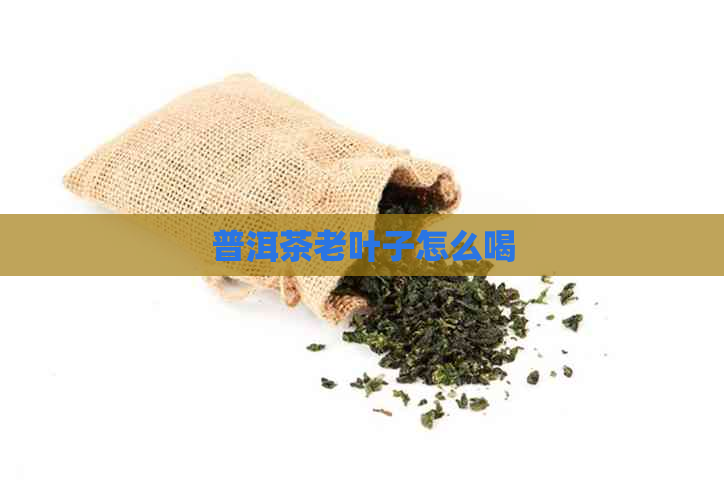 普洱茶老叶子怎么喝