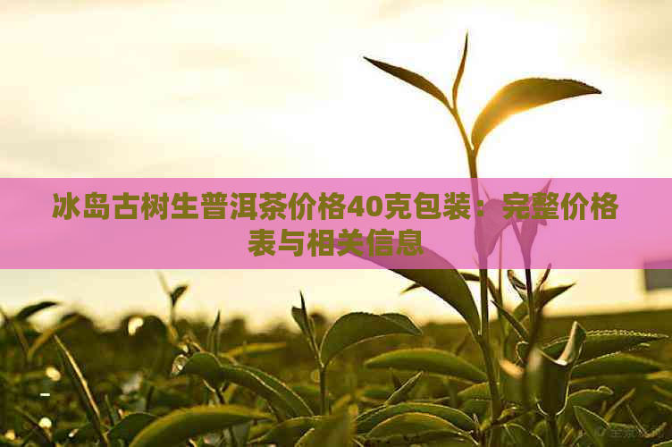 冰岛古树生普洱茶价格40克包装：完整价格表与相关信息