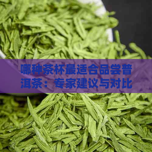 哪种茶杯最适合品尝普洱茶：专家建议与对比分析