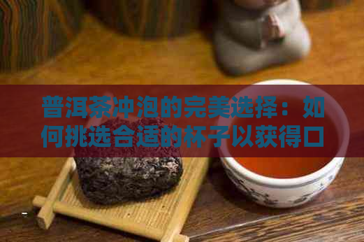 普洱茶冲泡的完美选择：如何挑选合适的杯子以获得口感