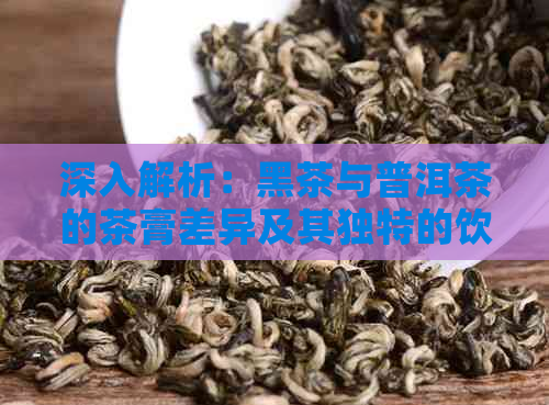 深入解析：黑茶与普洱茶的茶膏差异及其独特的饮用体验