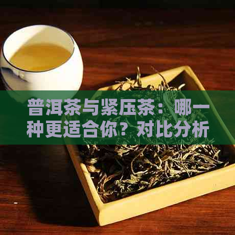 普洱茶与紧压茶：哪一种更适合你？对比分析熟茶与生茶的差异