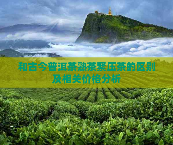 和古今普洱茶熟茶紧压茶的区别及相关价格分析