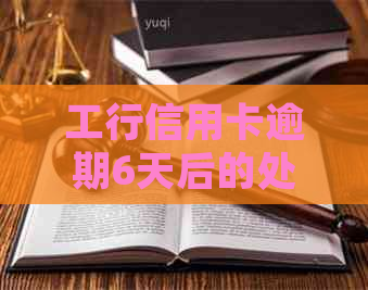 工行信用卡逾期6天后的处理方式及影响：是否还能继续使用？