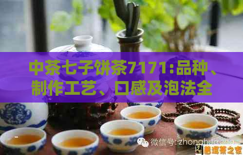 中茶七子饼茶7171:品种、制作工艺、口感及泡法全面解析，让你成为品茗达人