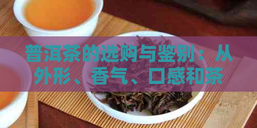 普洱茶的选购与鉴别：从外形、香气、口感和茶底四个方面入手