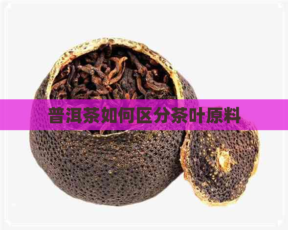 普洱茶如何区分茶叶原料