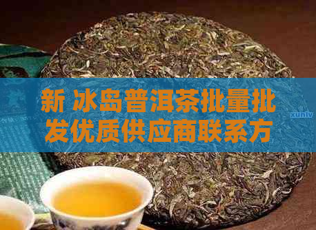 新 冰岛普洱茶批量批发优质供应商联系方式