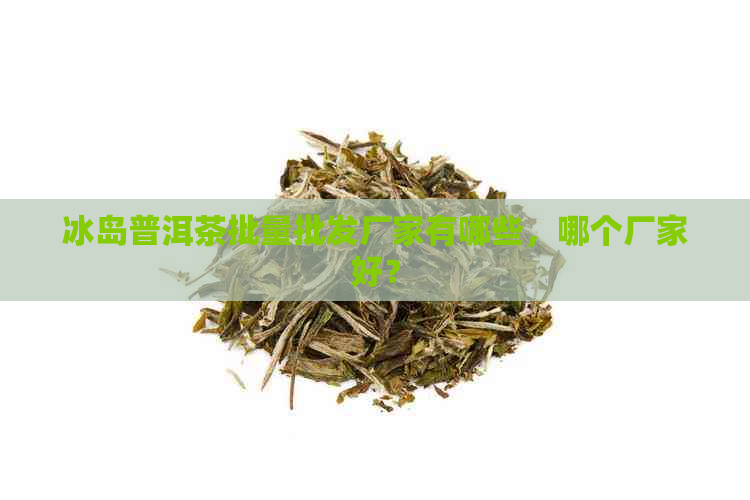 冰岛普洱茶批量批发厂家有哪些，哪个厂家好？