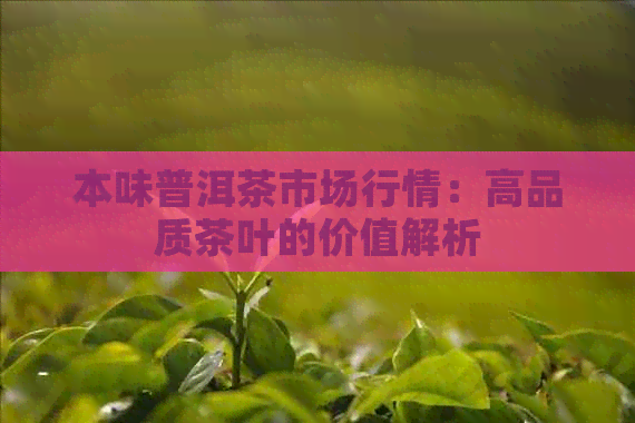 本味普洱茶市场行情：高品质茶叶的价值解析