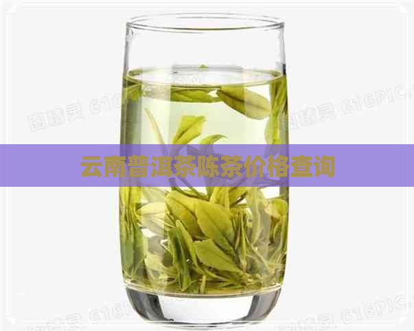 云南普洱茶陈茶价格查询