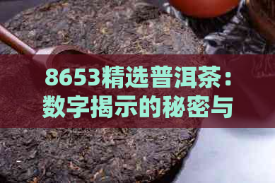 8653精选普洱茶：数字揭示的秘密与陈年力量