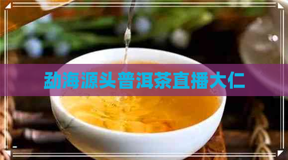 勐海源头普洱茶直播大仁