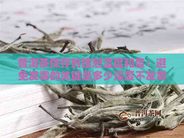 普洱茶保存的理想湿度和度：避免发霉的关键是多少湿度不发霉？