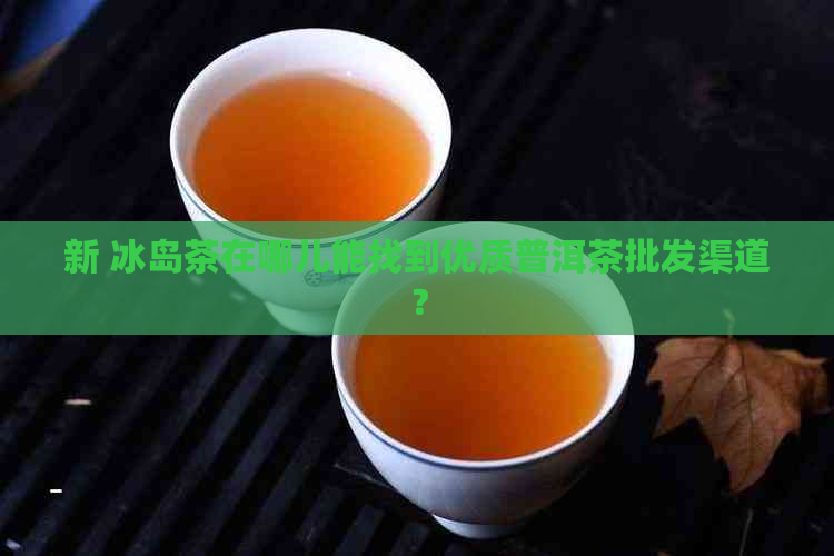 新 冰岛茶在哪儿能找到优质普洱茶批发渠道？