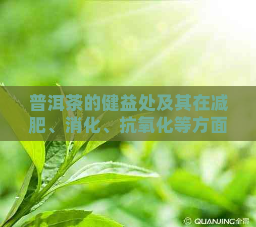 普洱茶的健益处及其在减肥、消化、抗氧化等方面的应用