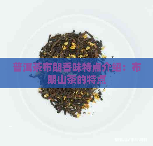 普洱茶布朗香味特点介绍：布朗山茶的特点