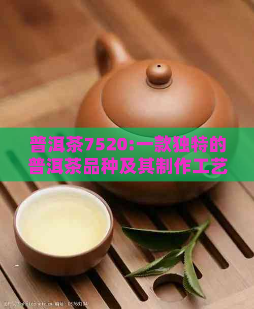 普洱茶7520:一款独特的普洱茶品种及其制作工艺详解