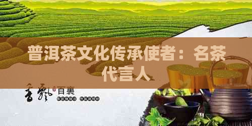 普洱茶文化传承使者：名茶代言人