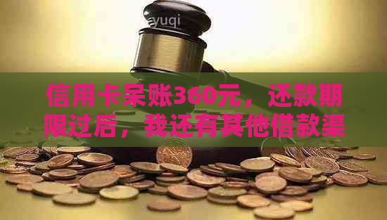 信用卡呆账360元，还款期限过后，我还有其他借款渠道吗？