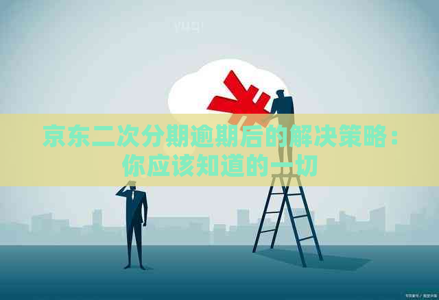 京东二次分期逾期后的解决策略：你应该知道的一切