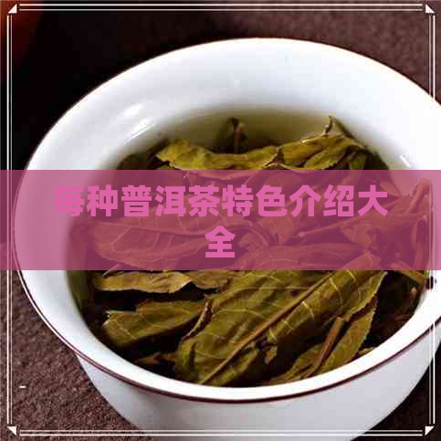 每种普洱茶特色介绍大全